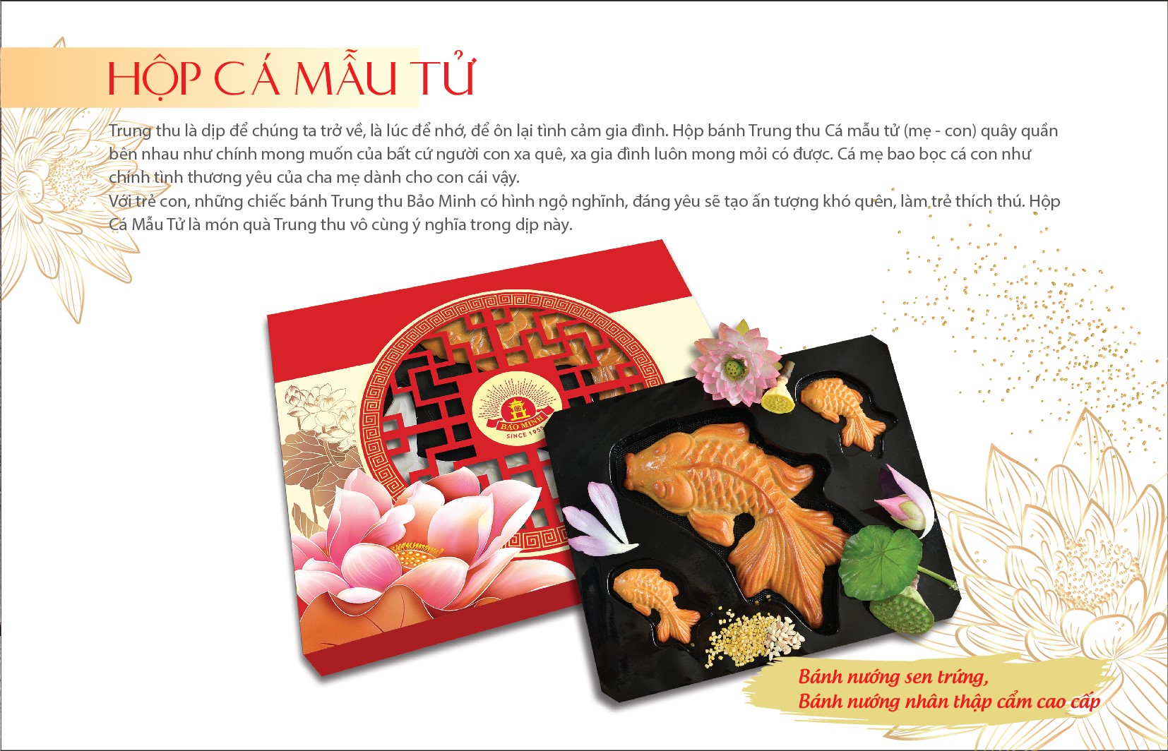 catalog 11